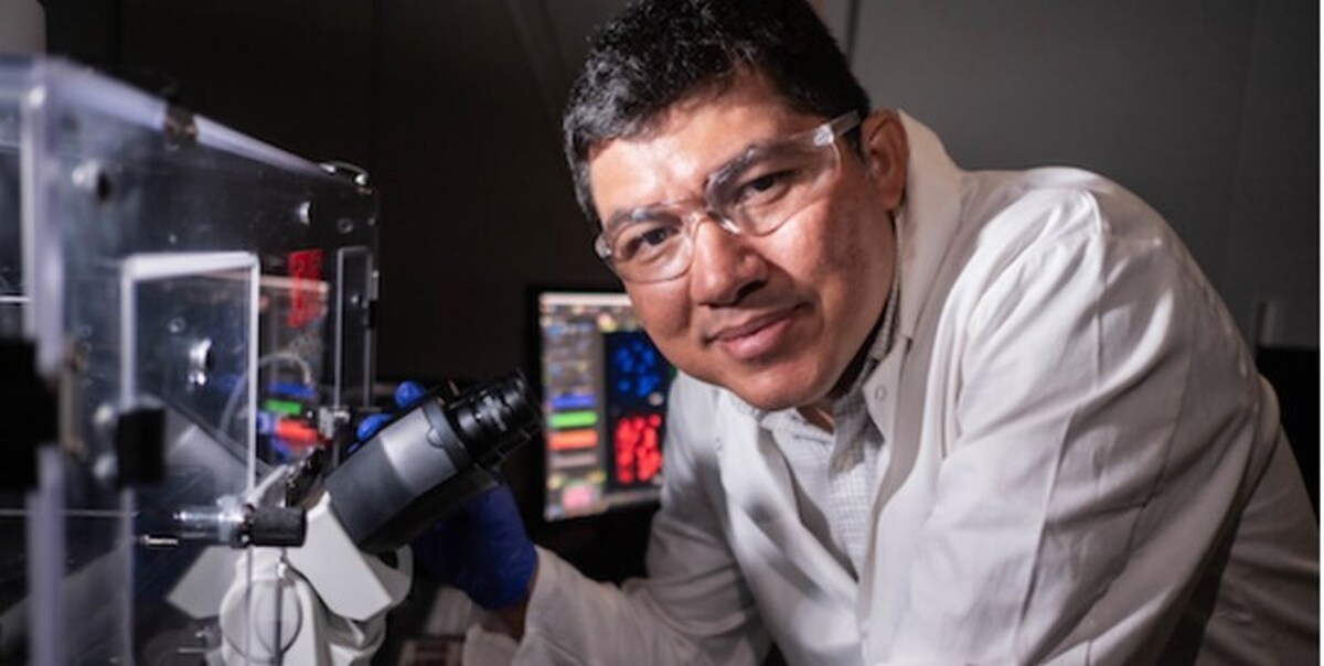 روش جدیدی که ۹۹ درصد از سلول‌های سرطانی را از بین می‌برد!