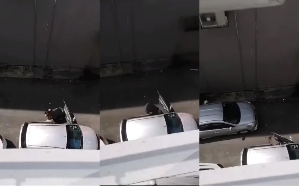 (تصاویر) مرگ دردناک خواننده جوان به دست هوادار خود! (تصاویر) مرگ دردناک خواننده جوان به دست هوادار خود!