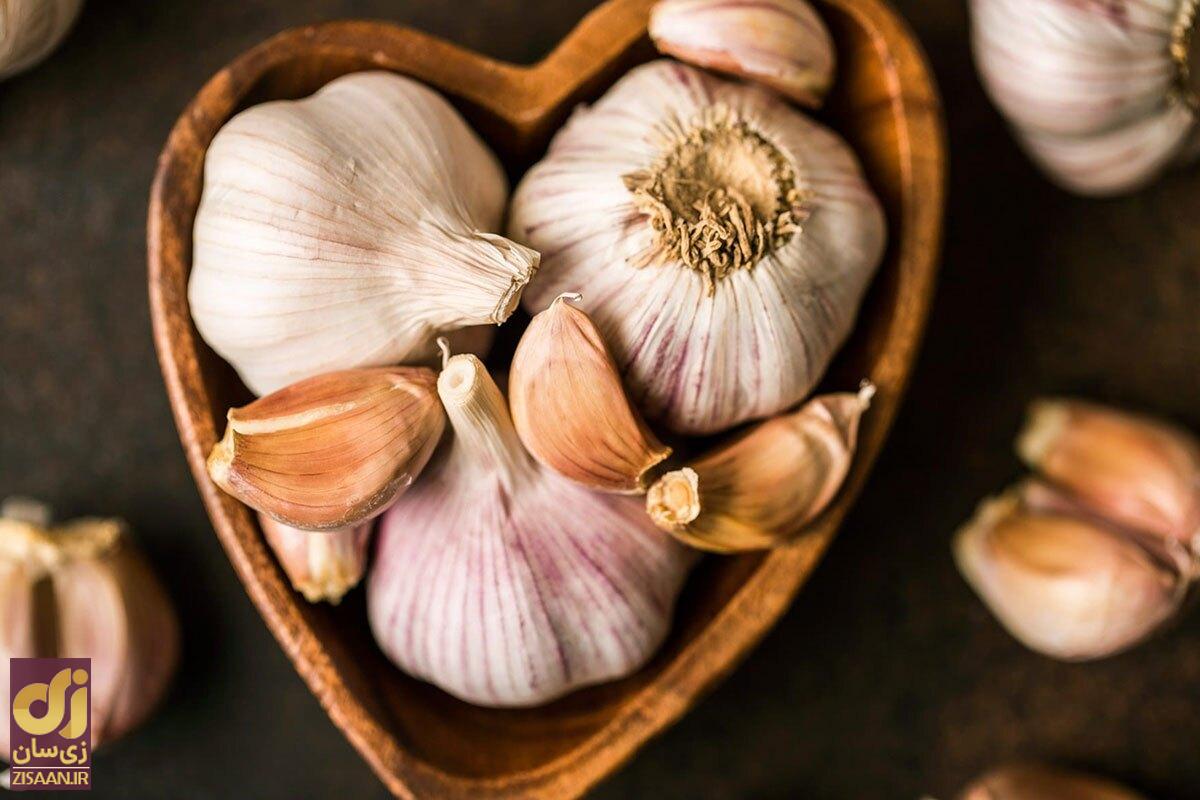 با خوردن منظم سیر چه اتفاقی برای بدن شما می‌افتد؟ + ۵ فایده سیر که ضامن سلامتی است