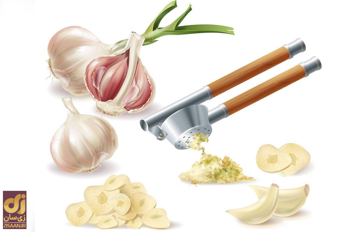 با خوردن منظم سیر چه اتفاقی برای بدن شما می‌افتد؟ + ۵ فایده سیر که ضامن سلامتی است