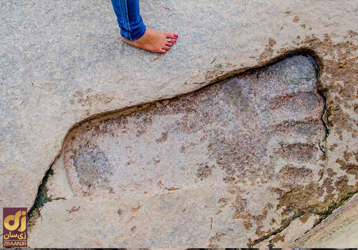 غول واقعی است! افسانه‌ای که واقعیت دارد