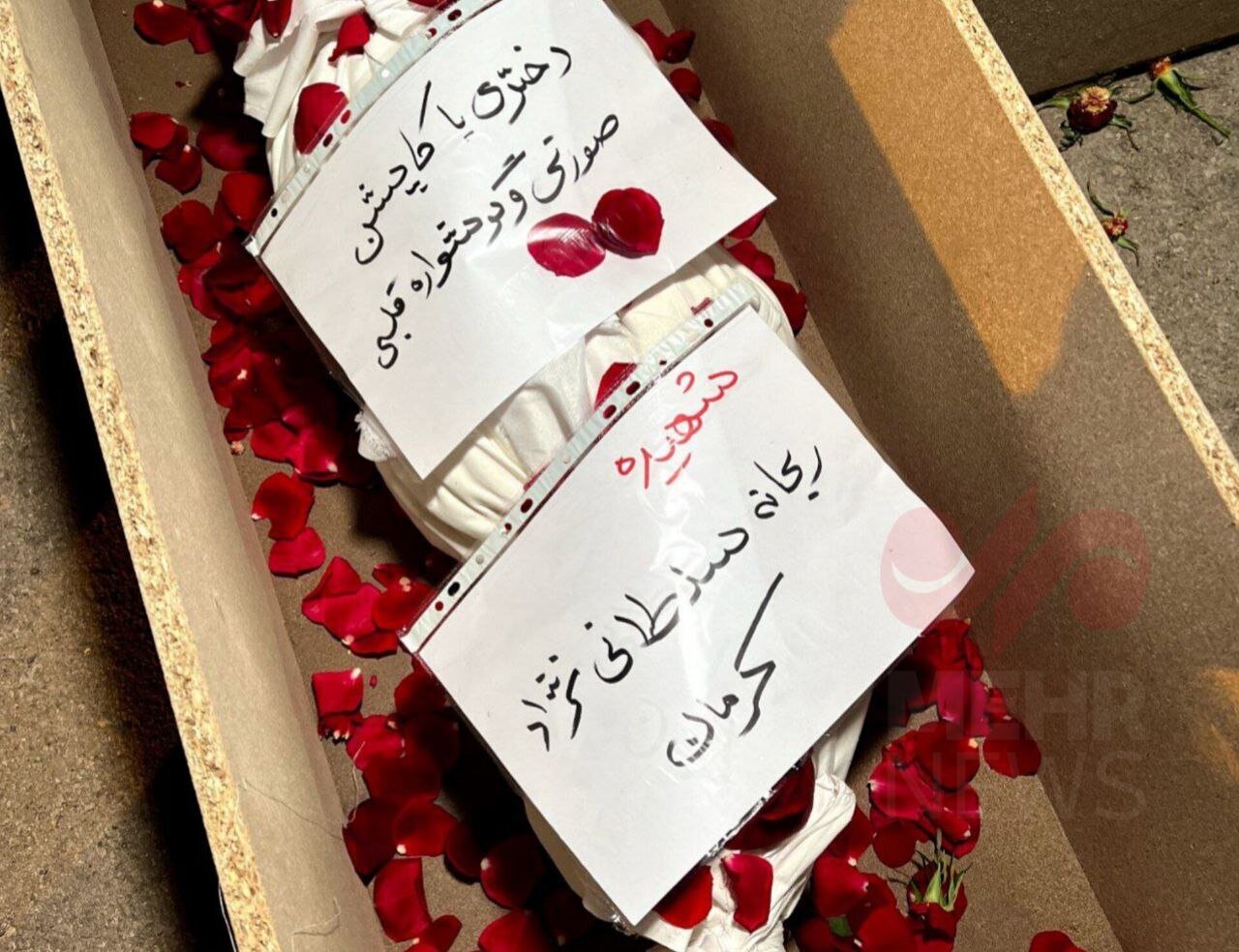 (تصاویر) تابوت دختر کاپشن صورتی با گوشواره قلبی!