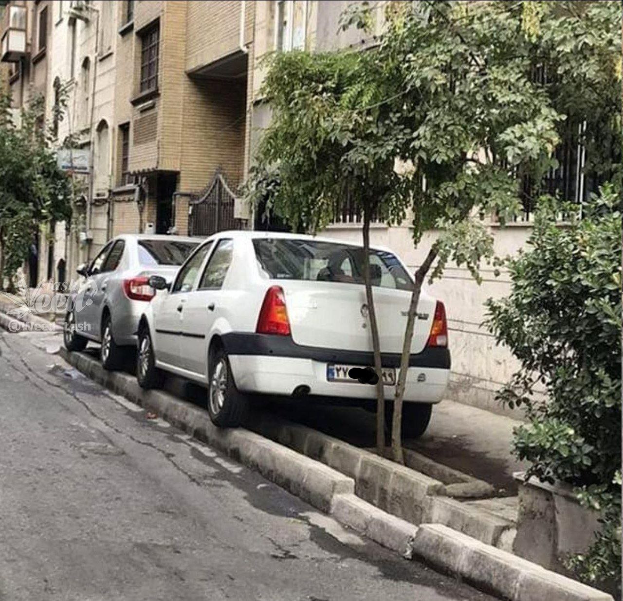 (عکس) این سبک پارک کردن فقط در ایران دیده میشود! (عکس) این سبک پارک کردن فقط در ایران دیده میشود!