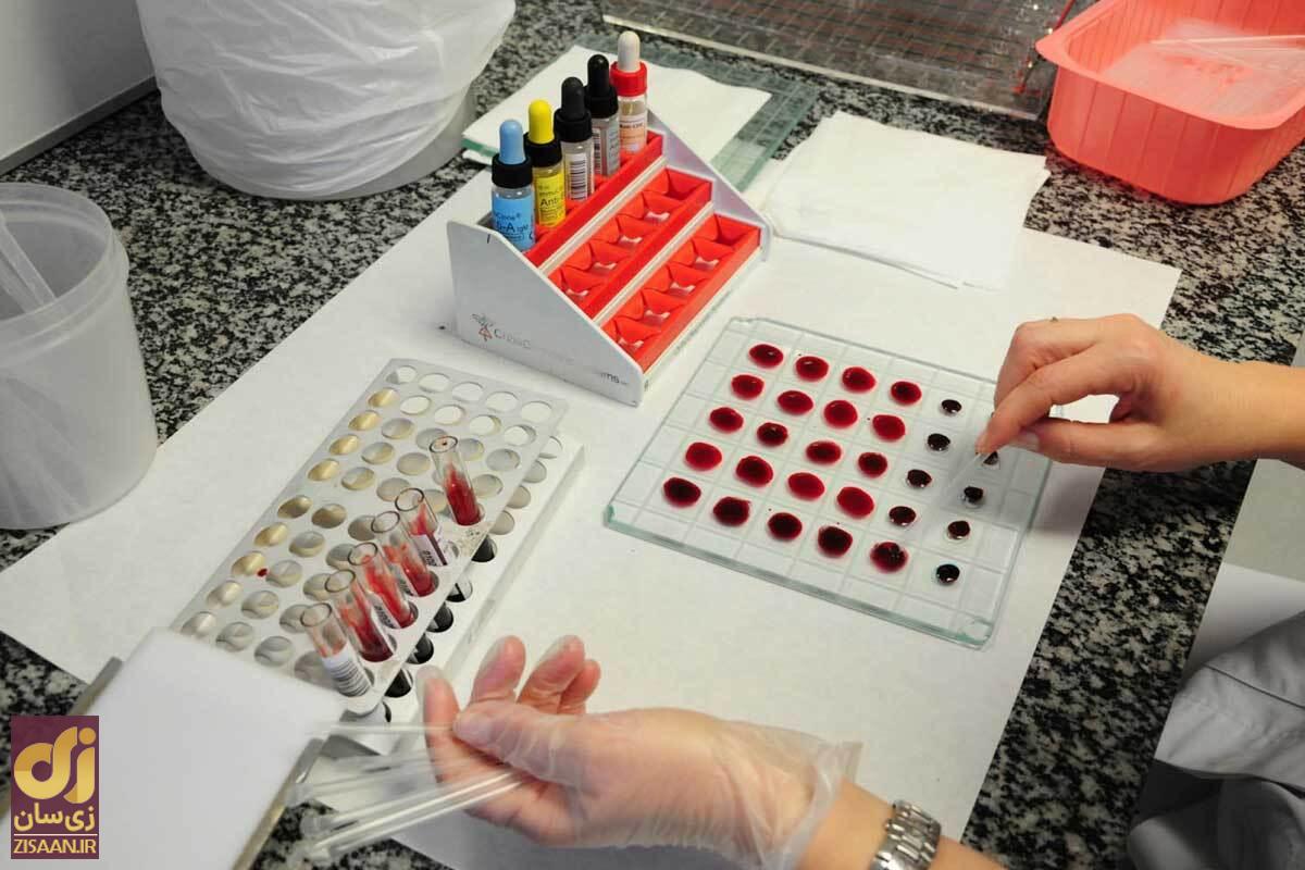 گروه خونی طلایی rh null چیست؟ گروه خونی طلایی rh null چیست؟ | خون نادری که در سیستان و بلوچستان هم کشف شد