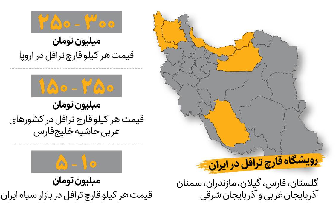 اکسیر جوانی کیلویی ۳۰۰ میلیونتومان! اکسیر جوانی کیلویی ۳۰۰ میلیونتومان!