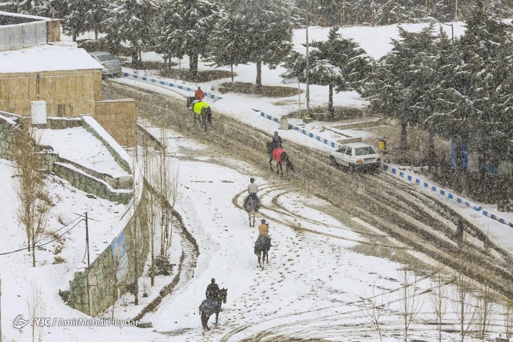(عکس) بارش شدید برف در لواسان و شادی مردم بارش شدید برف در لواسان و شادی مردم