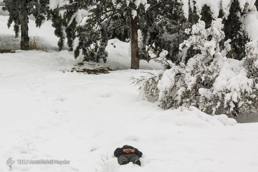 (عکس) بارش شدید برف در لواسان و شادی مردم بارش شدید برف در لواسان و شادی مردم