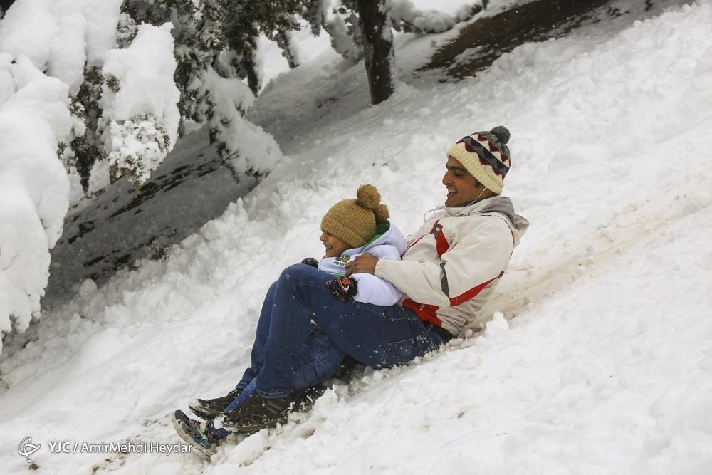 (عکس) بارش شدید برف در لواسان و شادی مردم بارش شدید برف در لواسان و شادی مردم