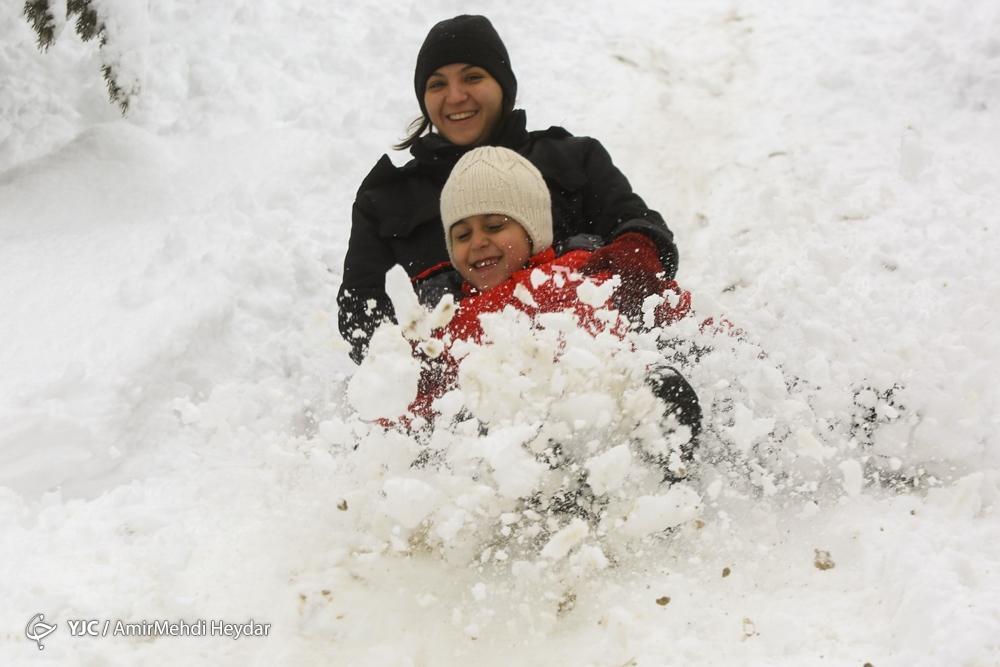 (عکس) بارش شدید برف در لواسان و شادی مردم بارش شدید برف در لواسان و شادی مردم