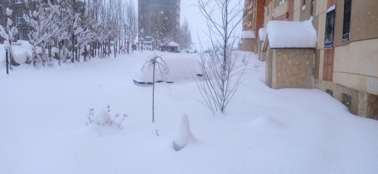 (عکس) دفن شدن خودروها زیر برف در این شهر