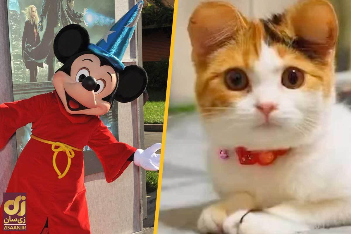 جنجال در چین: آزار حیوانات خانگی برای آنکه شبیه به میکی‌موس شوند!