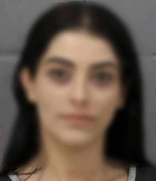 آبروریزی یک دختر ایرانی در تگزاس، جهانی شد نیوشا افخمی