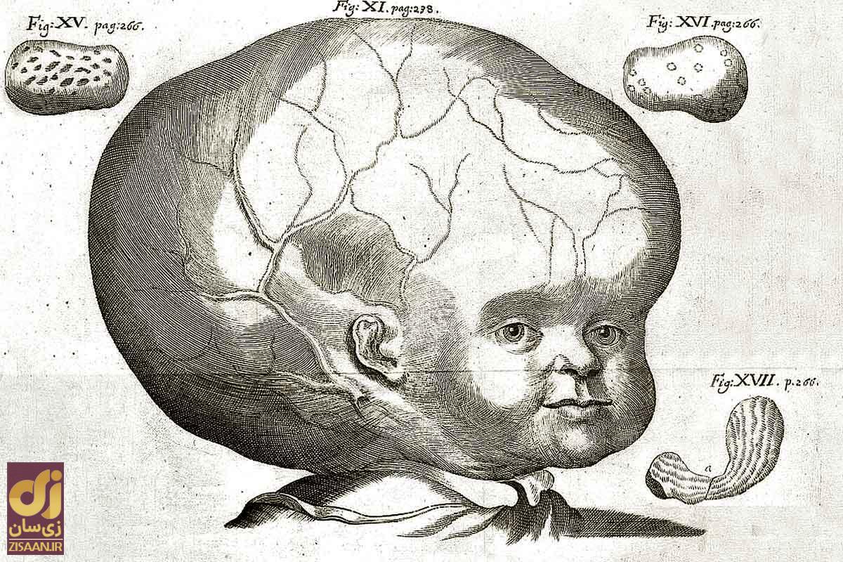 عجیب‌ترین و افسانه‌ای‌ترین موجودات ناشناخته دنیا