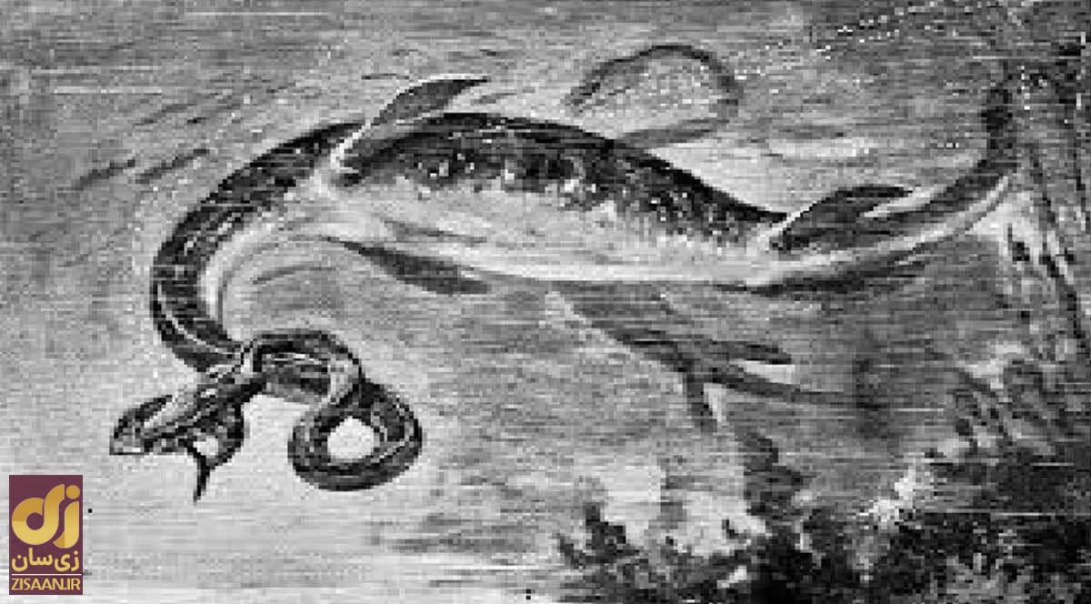 عجیب‌ترین و افسانه‌ای‌ترین موجودات ناشناخته دنیا