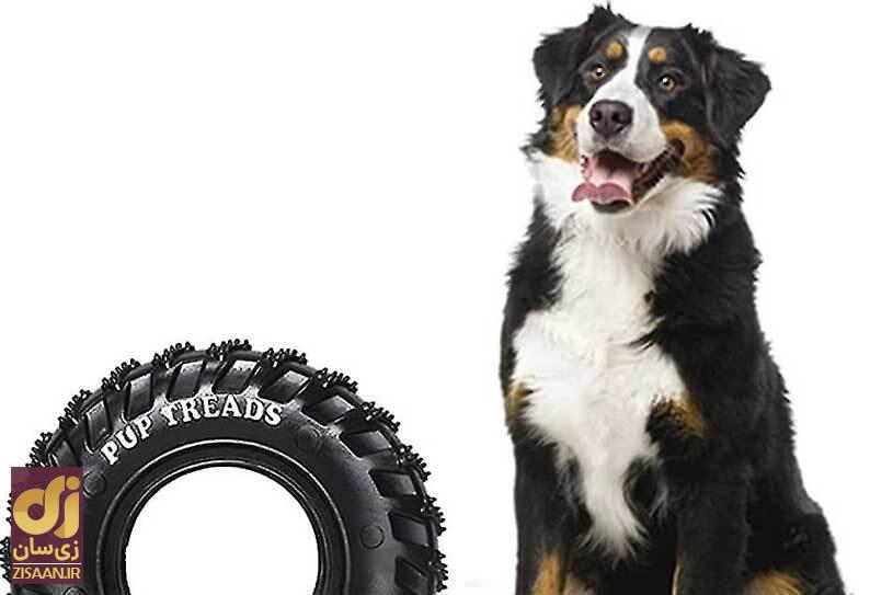 ماجرای عجیب سگی که لاستیک خودروها را پنچر میکرد! ماجرای عجیب سگی که لاستیک خودروها را پنچر میکرد!