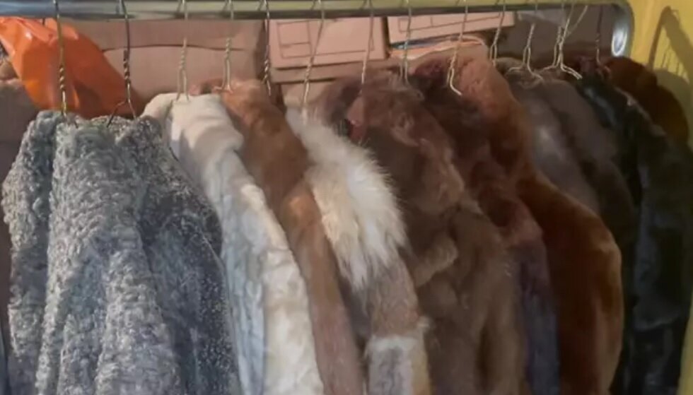 (عکس) ماجرای مردی که خانهای خرید و در آن گنج پیدا کرد (عکس) ماجرای مردی که خانهای خرید و در آن گنج پیدا کرد