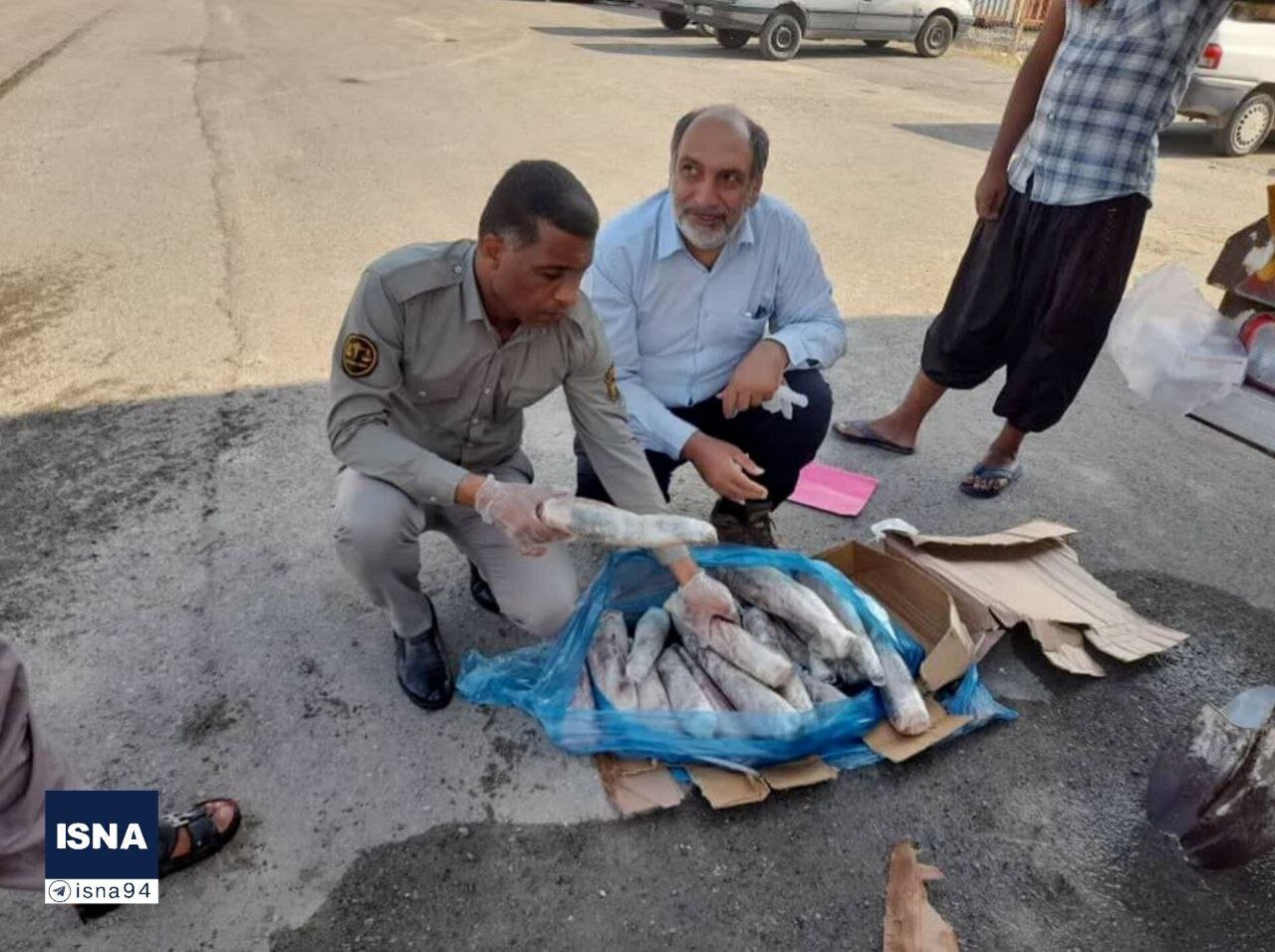 کشف یک محموله زبان گراز در کشور کشف یک محموله زبان گراز