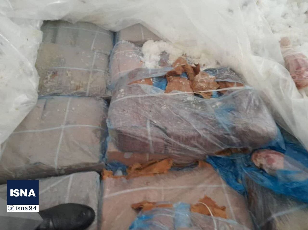 کشف یک محموله زبان گراز در کشور محموله زبان گراز