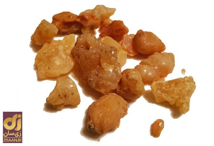 گیاه آنغوزه چیست؟ آیا آنقوزه مفید است؟ گیاه آنغوزه چیست؟ آیا آنقوزه مفید است؟