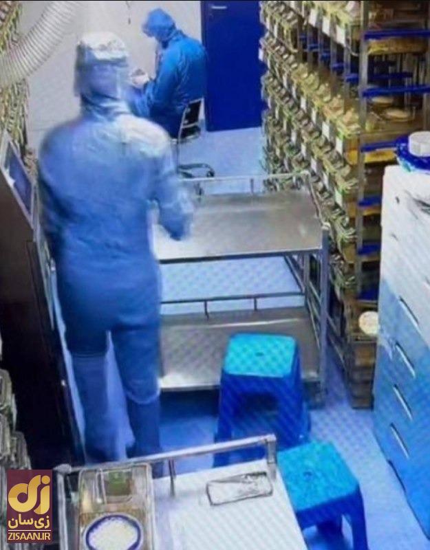 فرار موش آزمایشگاهی چین: آیا ویروس دیگری در راه جهان است؟!