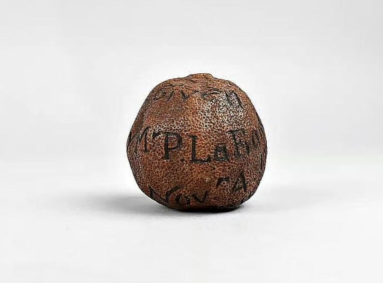 این لیمو ۵۵ هزار پوند میارزد! این لیمو ۵۵ هزار پوند میارزد!