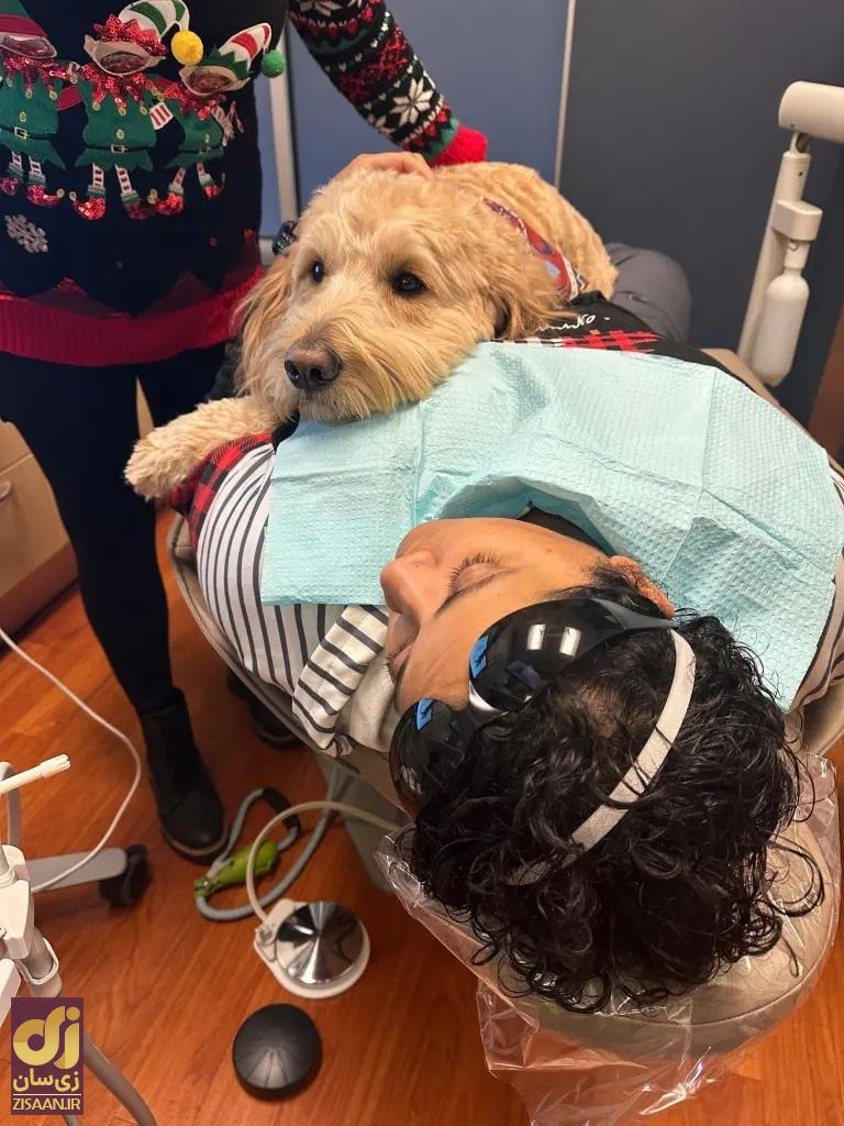 سگ روی بیمار