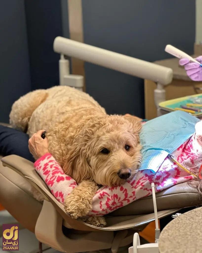 اولی و بیمار