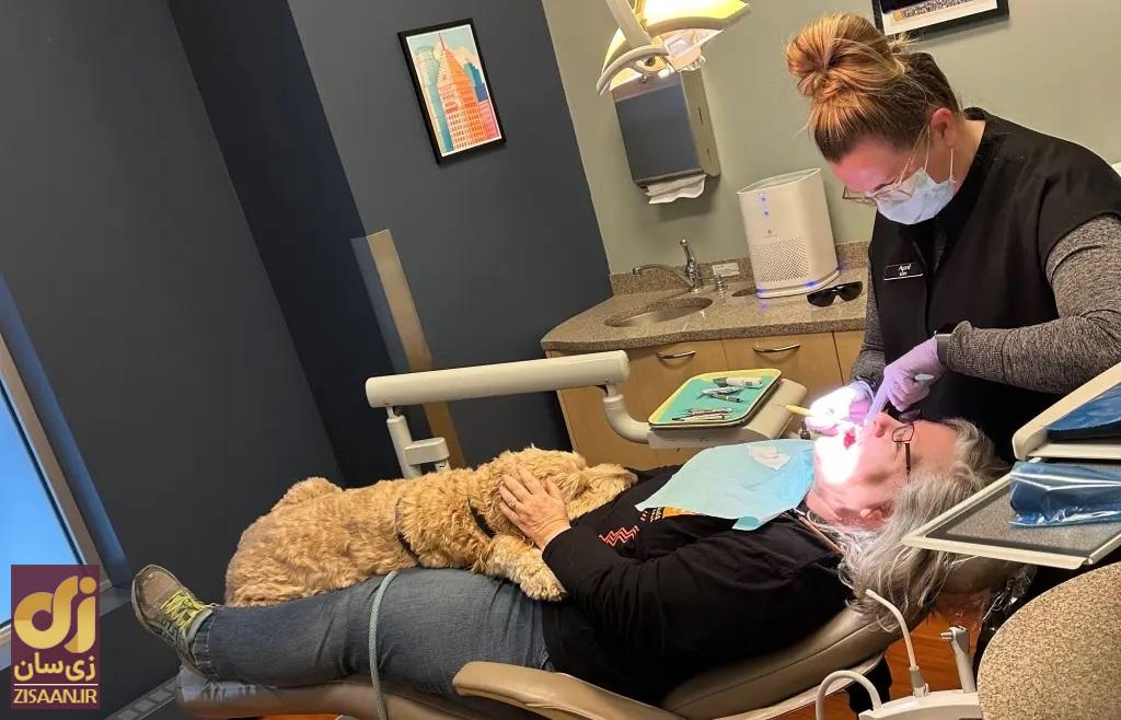 اولی و بیمار دندانپزشکی