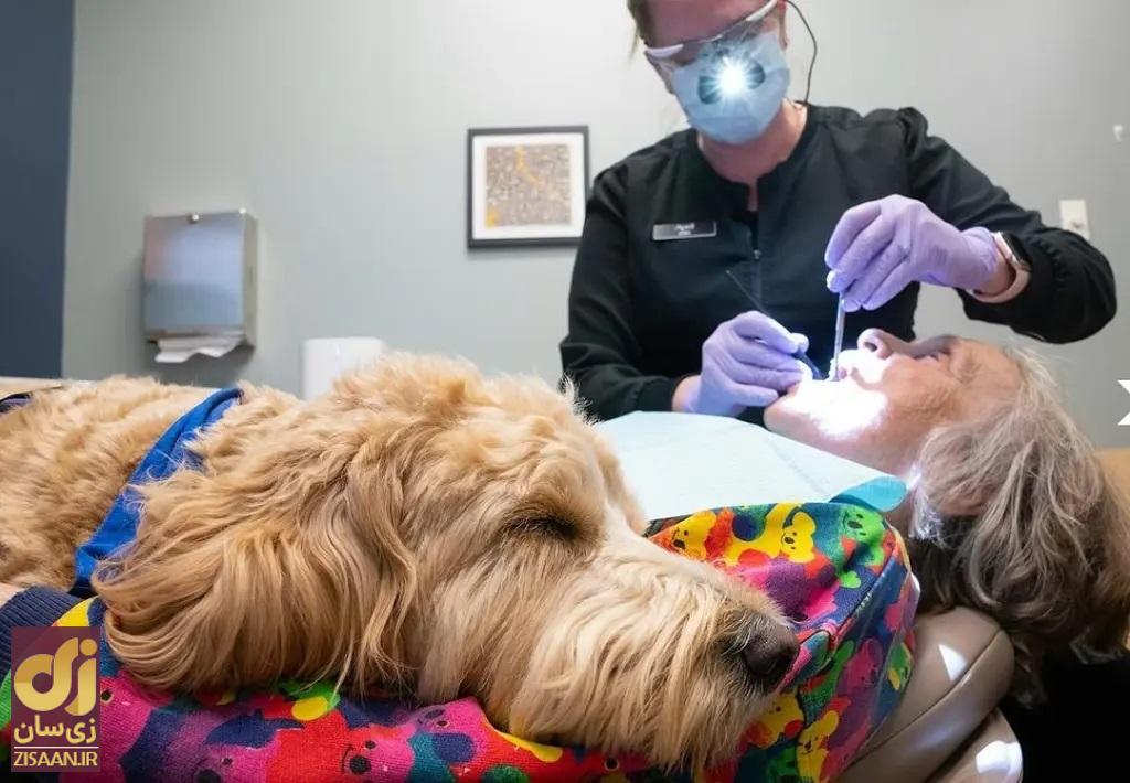 حیوان خانگی در حال آرامش دادن به بیمار