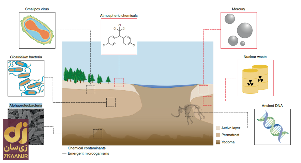 همه‌گیری ویروسیِ بعدی ناشی از ذوب‌شدن یخ‌هاست!