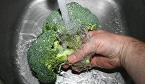 بهترین و مطمئن‌ترین روش شستن کلم بروکلی برای کُشتن میکروب‌ها
