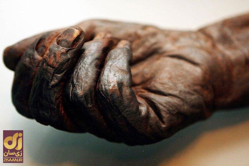 آیا این دو عضو بدن بعد از مرگ باز هم رشد می‌کنند؟ | نگاهی به یک باور خون آشامی!