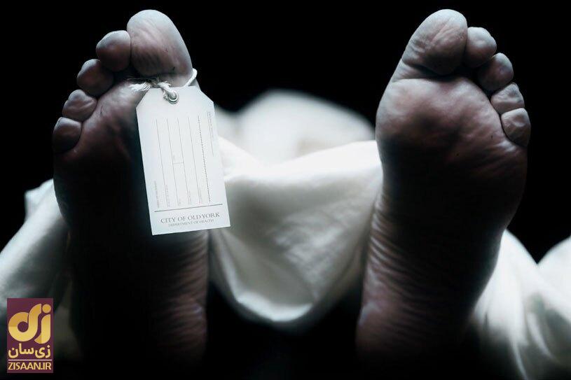 آیا این دو عضو بدن بعد از مرگ باز هم رشد می‌کنند؟ | نگاهی به یک باور خون آشامی!