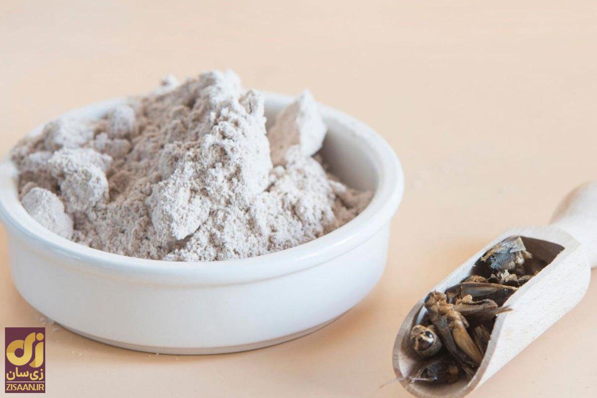 پروتئین جیرجیرک چیست؟! با خواندن این مطلب طرفدار خوردن حشرات میشوید! پروتئین جیرجیرک چیست؟! با خواندن این مطلب طرفدار خوردن حشرات میشوید!