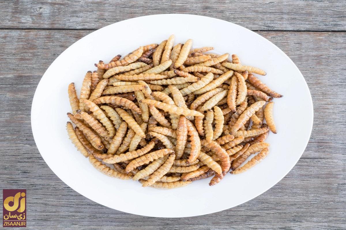 کاترپیلار سرخ شده