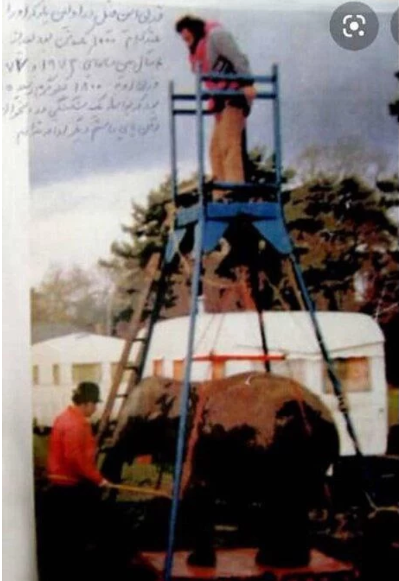 (عکس) پهلوان ایرانی که فیل را از جای خود بلند کرد (عکس) پهلوان ایرانی که فیل را از جای خود بلند کرد