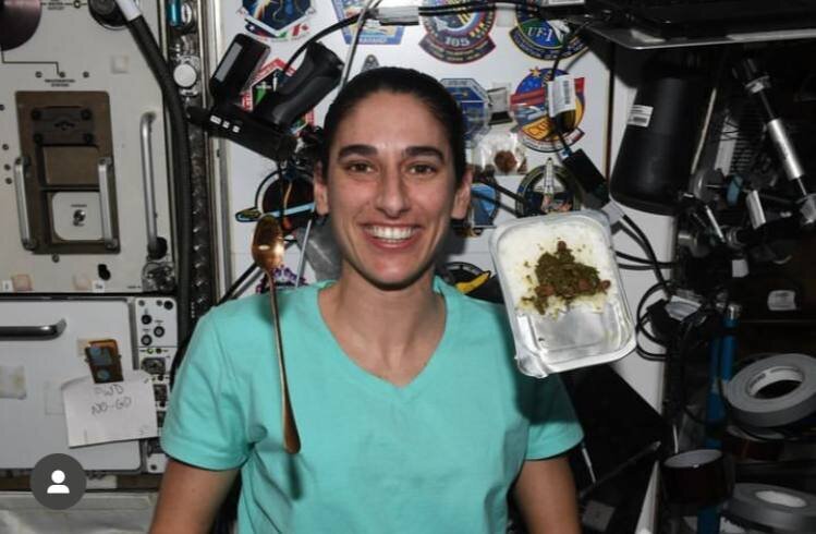 سلفی با قرمه سبزی در فضا