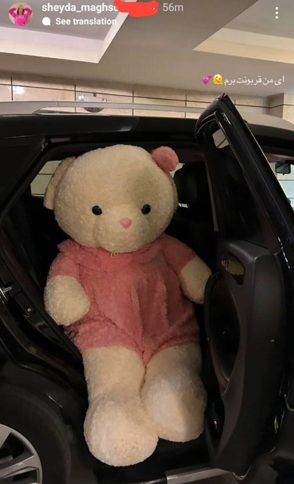 کادوی سرمربی سپاهان به همسر ایرانی‌اش