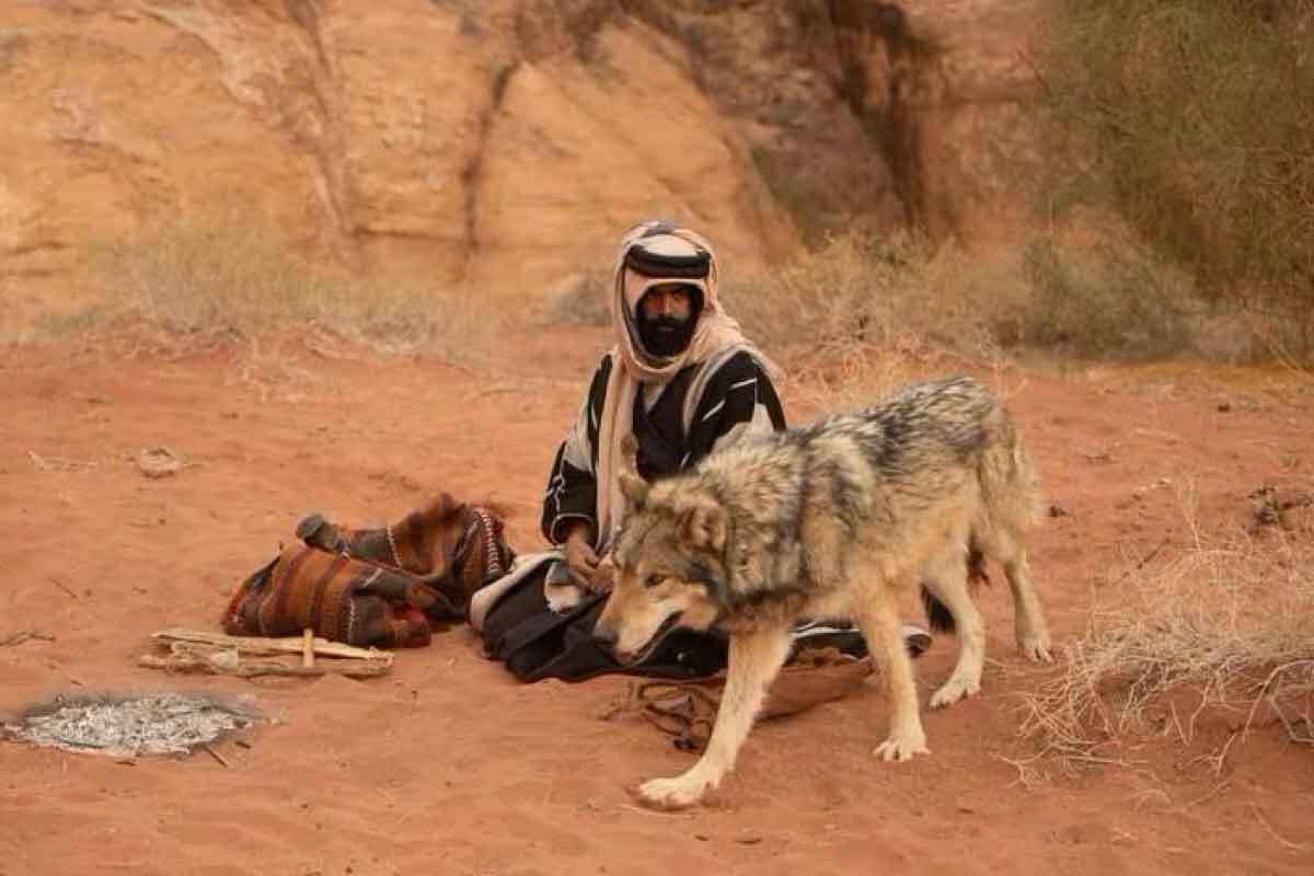 اولین فیلم عربستان در نئوم؛ «در دل شن» قصیده‌ای از میراث بادیه‌