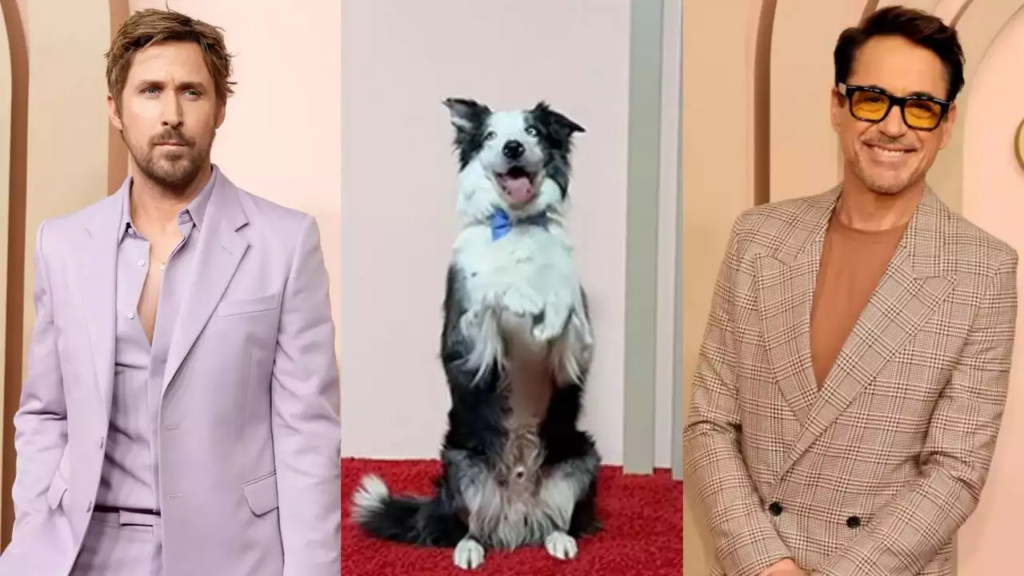 سگ مشهور فیلم «آناتومی یک سقوط» که از نظر منتقدان شایسته اسکار است سگ مشهور فیلم «آناتومی یک سقوط» که از نظر منتقدان شایسته اسکار است