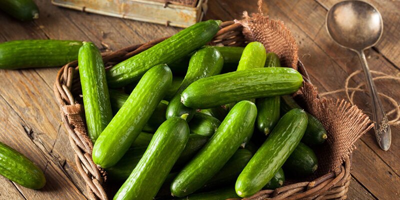 با خوردن این میوهها و سبزیجات لاغر شوید خیار