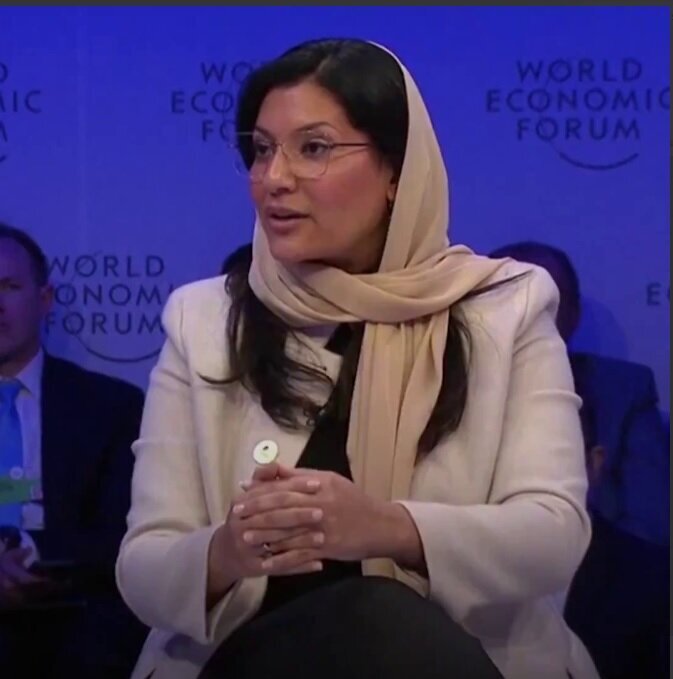 عکسی از پوشش خبرساز خانم سفیر!