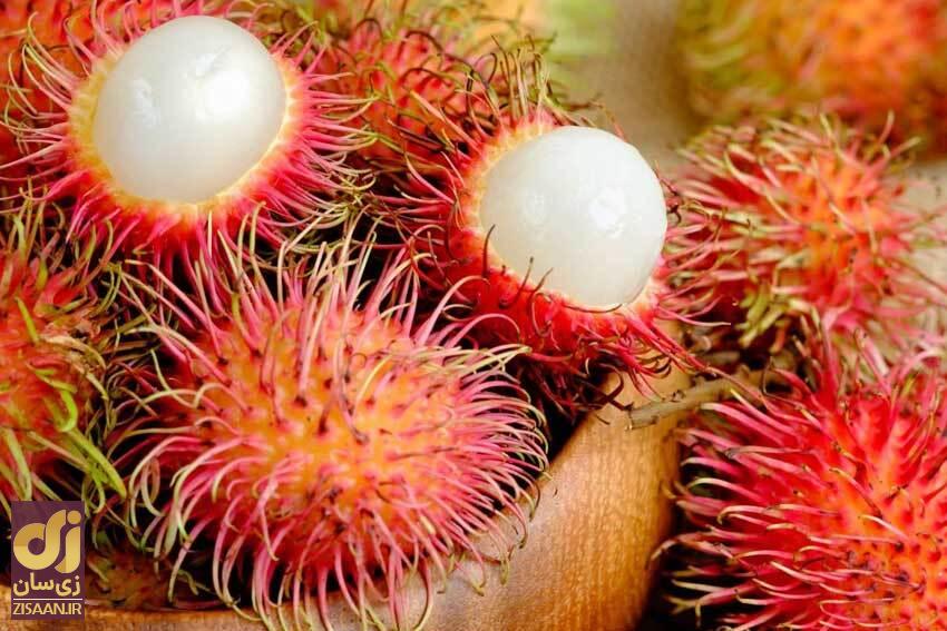 میوه عجیب رامبوتان ۸ میوه عجیب و غیر معمول دنیا + عکس //