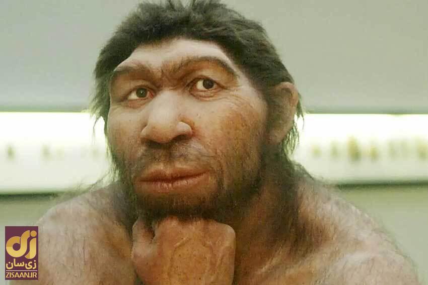 چه شد که مغز و هیکل انسان امروزی انقدر کوچک شد؟! //