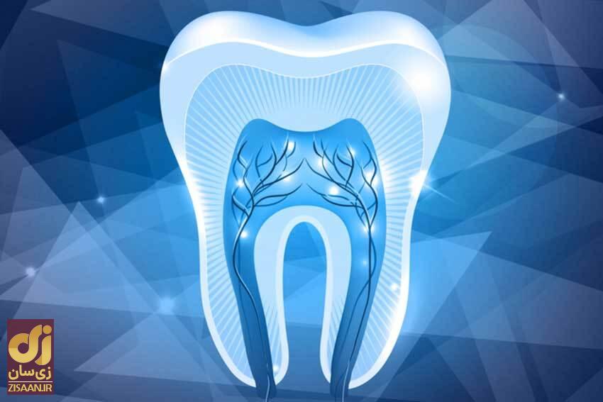 ۵ چیز دیوانه‌کننده‌ای که علم به تازگی درباره بدن انسان کشف کرده است!