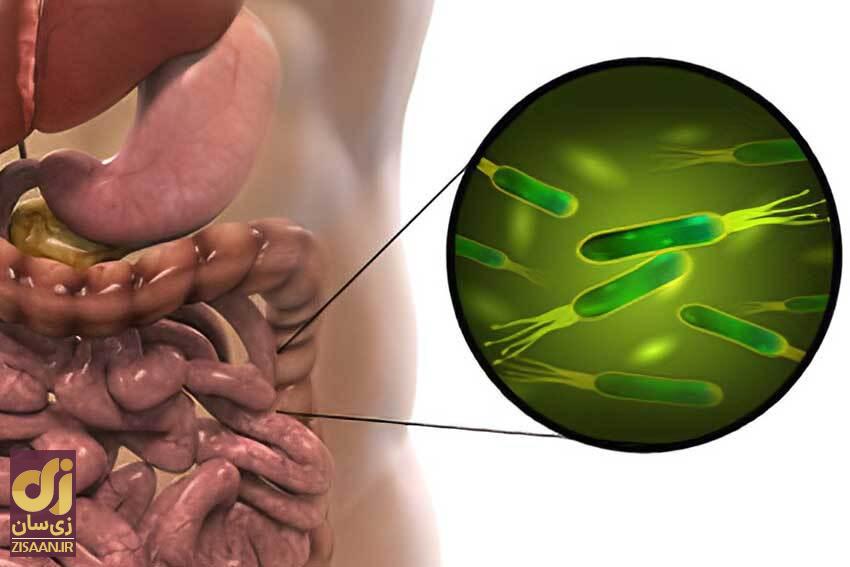 ۵ چیز دیوانه‌کننده‌ای که علم به تازگی درباره بدن انسان کشف کرده است!