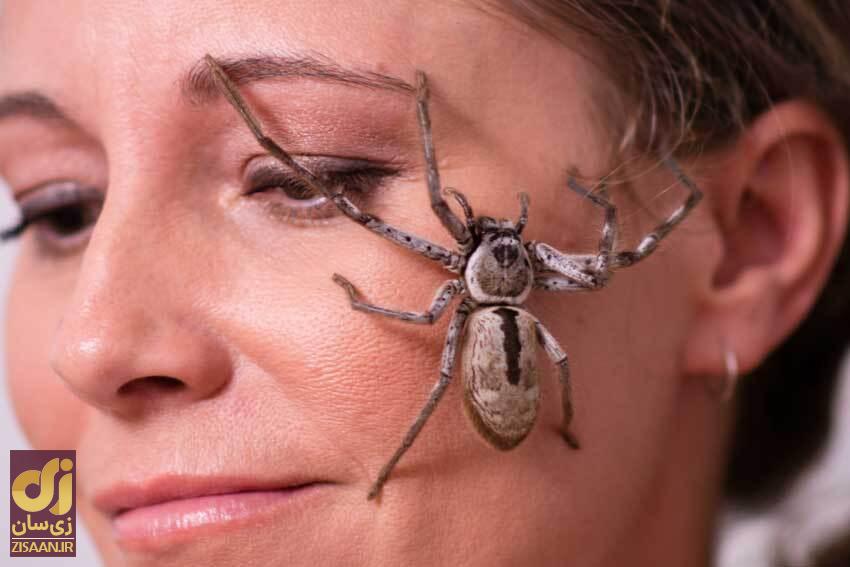 ۵ چیز دیوانه‌کننده‌ای که علم به تازگی درباره بدن انسان کشف کرده است!