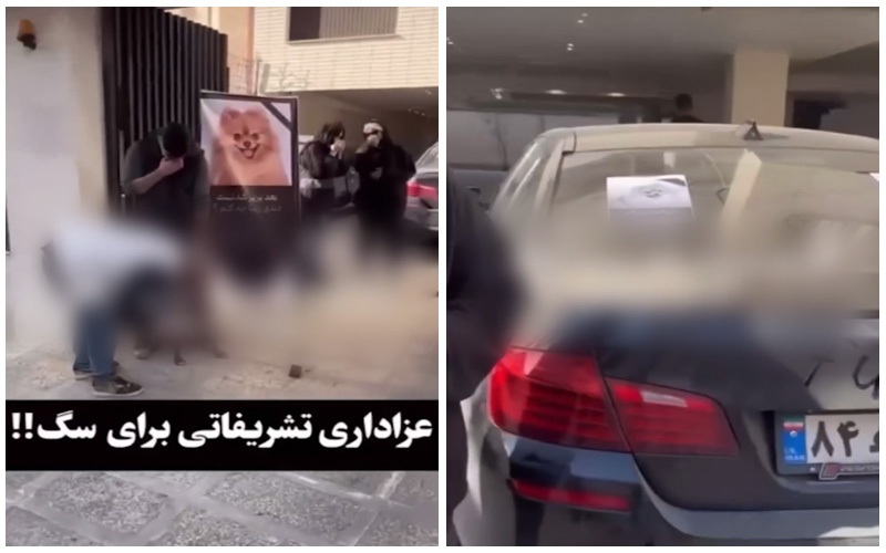 مراسم ختم لاکچری یک سگ در تهران جنجالی شد مراسم ختم لاکچری یک سگ