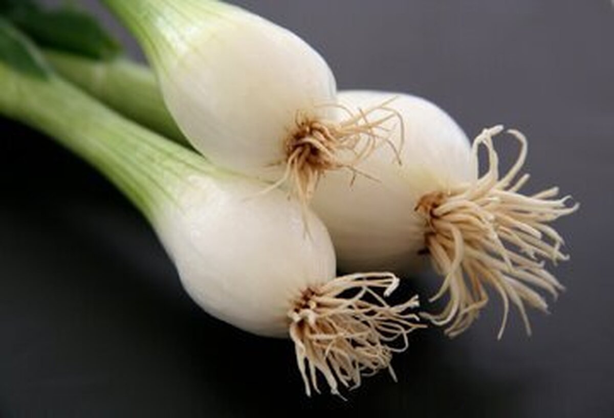 فواید عجیب و غریب سبزی محبوب ایرانی‌ها