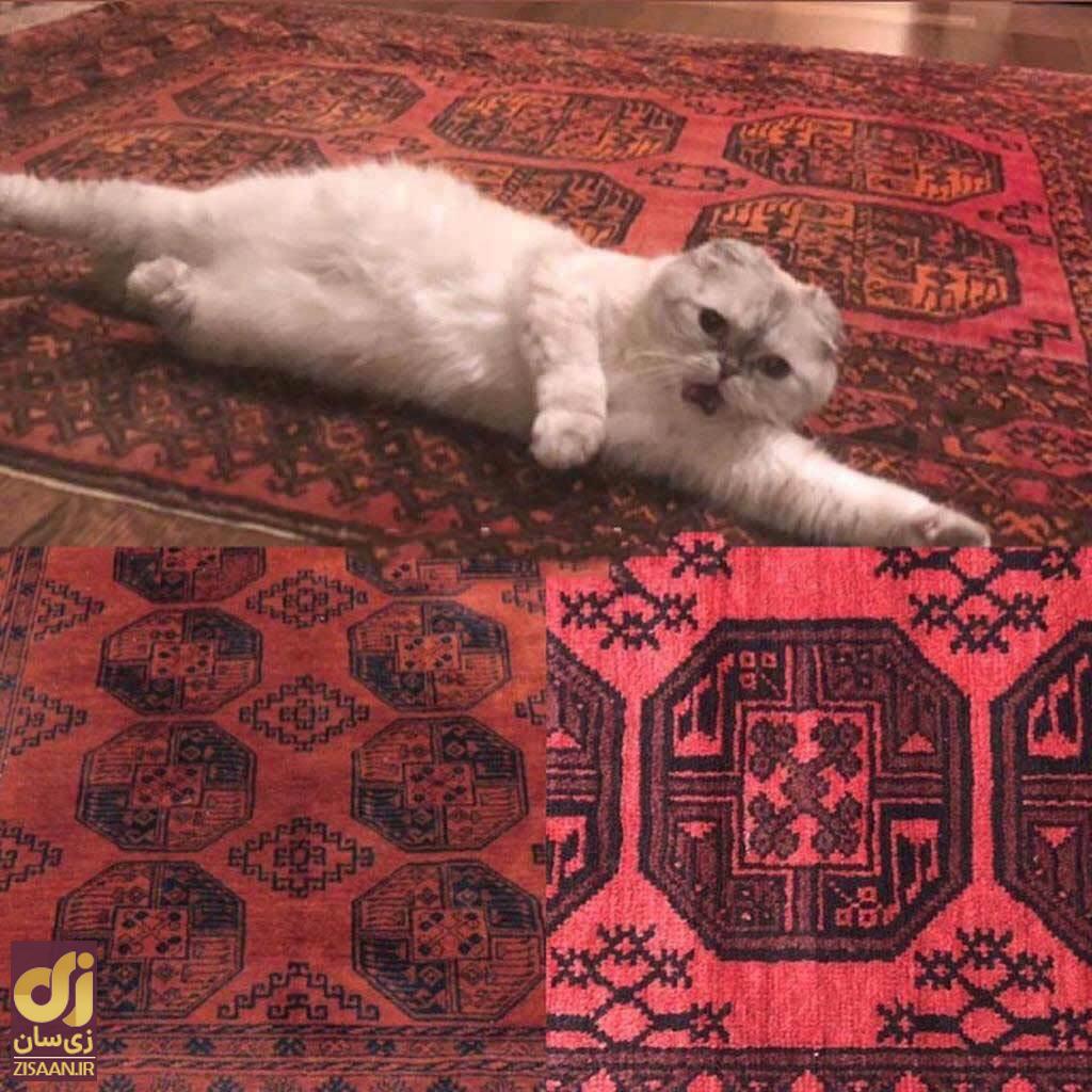 (تصاویر) فرش ایرانی هم داخل پنت هاوس عجیب‌وغریب تیلور سوئیفت هست!